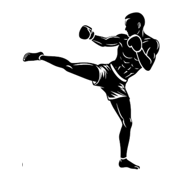 Кикбоксинг